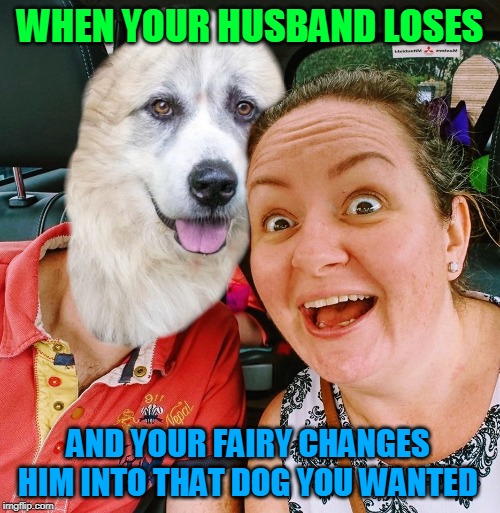 WHEN YOUR HUSBAND LOSES; AND YOUR FAIRY CHANGES HIM INTO THAT DOG YOU WANTED | made w/ Imgflip meme maker