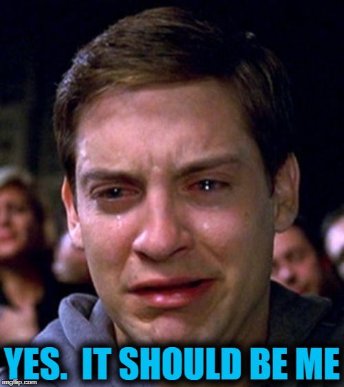 crying peter parker | YES.  IT SHOULD BE ME | image tagged in crying peter parker | made w/ Imgflip meme maker