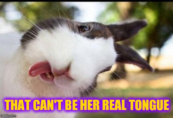 Bunny sticking out tongue  | THAT CAN'T BE HER REAL TONGUE | image tagged in bunny sticking out tongue | made w/ Imgflip meme maker