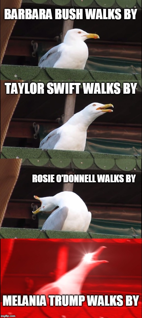 Inhaling Seagull | BARBARA BUSH WALKS BY; TAYLOR SWIFT WALKS BY; ROSIE O'DONNELL WALKS BY; MELANIA TRUMP WALKS BY | image tagged in memes,inhaling seagull | made w/ Imgflip meme maker