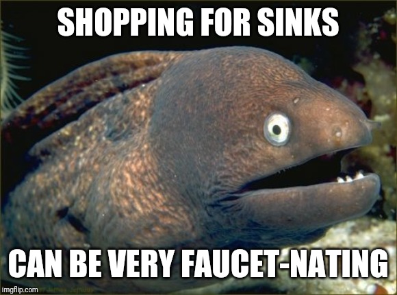 Bad Joke Eel Meme | SHOPPING FOR SINKS; CAN BE VERY FAUCET-NATING | image tagged in memes,bad joke eel | made w/ Imgflip meme maker