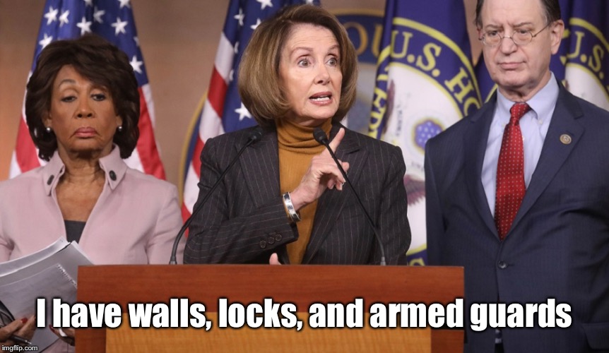 pelosi explains | I have walls, locks, and armed guards | image tagged in pelosi explains | made w/ Imgflip meme maker