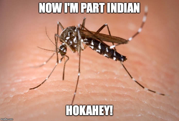 mosquito  | NOW I'M PART INDIAN HOKAHEY! | image tagged in mosquito | made w/ Imgflip meme maker