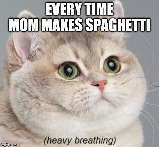Heavy Breathing Cat Meme | EVERY TIME MOM MAKES SPAGHETTI | image tagged in memes,heavy breathing cat | made w/ Imgflip meme maker