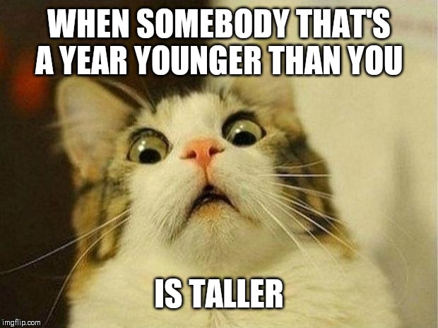 Scared Cat | WHEN SOMEBODY THAT'S A YEAR YOUNGER THAN YOU; IS TALLER | image tagged in memes,scared cat | made w/ Imgflip meme maker
