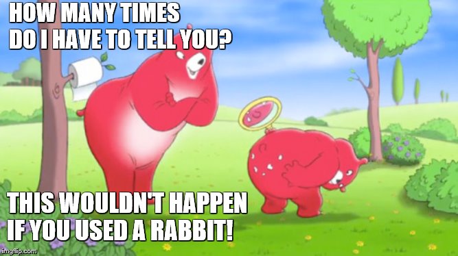 HOW MANY TIMES DO I HAVE TO TELL YOU? THIS WOULDN'T HAPPEN IF YOU USED A RABBIT! | made w/ Imgflip meme maker