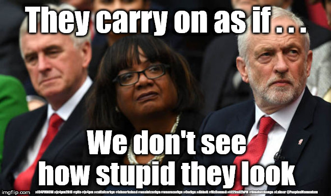 Corbyn/Labour - inept | They carry on as if . . . We don't see how stupid they look; #JC4PMNOW #jc4pm2019 #gtto #jc4pm #cultofcorbyn #labourisdead #weaintcorbyn #wearecorbyn #Corbyn #Abbott #McDonnell #JC2frail2bPM #timeforchange #Labour @PeoplesMomentum | image tagged in corbyn's labour party,cultofcorbyn,labourisdead,jc4pmnow gtto jc4pm2019,communist socialist,anti-semite and a racist | made w/ Imgflip meme maker