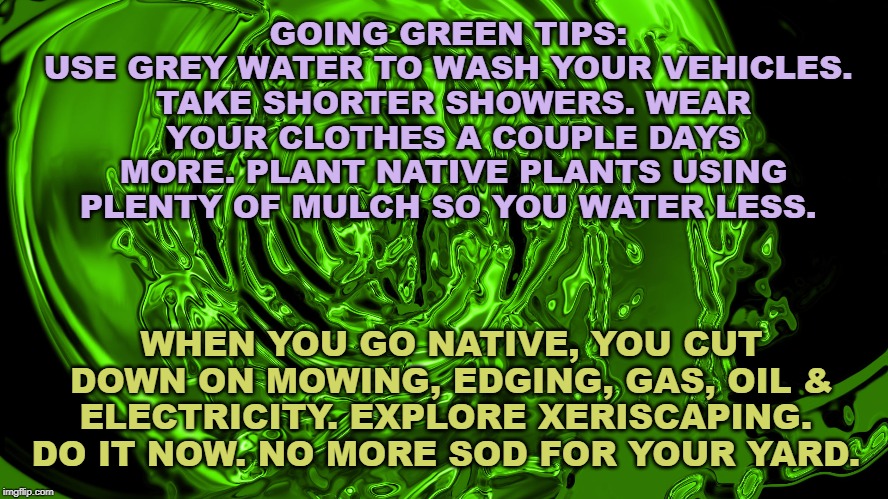 Going Green Tips - Go Native | GOING GREEN TIPS: 
USE GREY WATER TO WASH YOUR VEHICLES. 
TAKE SHORTER SHOWERS. WEAR YOUR CLOTHES A COUPLE DAYS MORE. PLANT NATIVE PLANTS USING PLENTY OF MULCH SO YOU WATER LESS. WHEN YOU GO NATIVE, YOU CUT DOWN ON MOWING, EDGING, GAS, OIL & ELECTRICITY. EXPLORE XERISCAPING. 
DO IT NOW. NO MORE SOD FOR YOUR YARD. | image tagged in lawn,environment,climate change | made w/ Imgflip meme maker