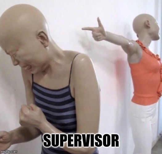 Pointing Mannequin | SUPERVISOR | image tagged in pointing mannequin | made w/ Imgflip meme maker