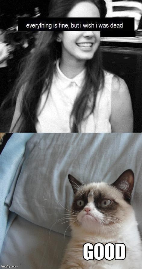 and grumpy strikes again | image tagged in funny,memes,grumpy cat | made w/ Imgflip meme maker