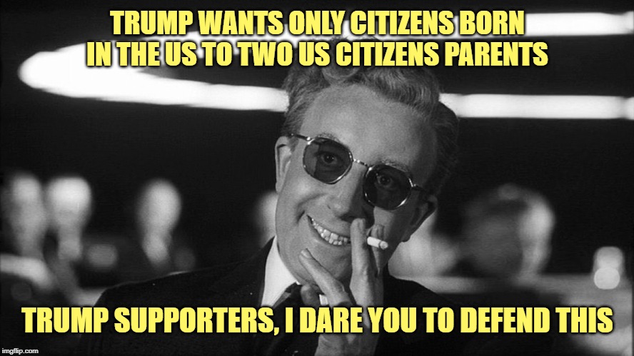 TRUMP SUPPORTERS, I DARE YOU TO DEFEND THIS | TRUMP WANTS ONLY CITIZENS BORN IN THE US TO TWO US CITIZENS PARENTS; TRUMP SUPPORTERS, I DARE YOU TO DEFEND THIS | image tagged in trump,trump supporters,citizens,civil rights,constitutional right to citizenship | made w/ Imgflip meme maker