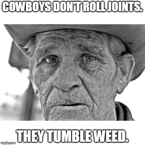 old cowboy | COWBOYS DON’T ROLL JOINTS. THEY TUMBLE WEED. | image tagged in old cowboy | made w/ Imgflip meme maker