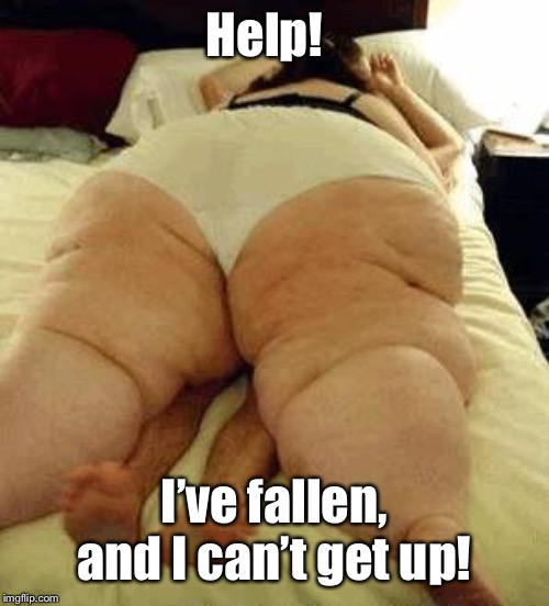 fat woman | Help! I’ve fallen, and I can’t get up! | image tagged in fat woman | made w/ Imgflip meme maker