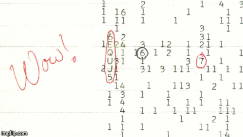 Wow! Signal | image tagged in gifs,wifi | made w/ Imgflip images-to-gif maker