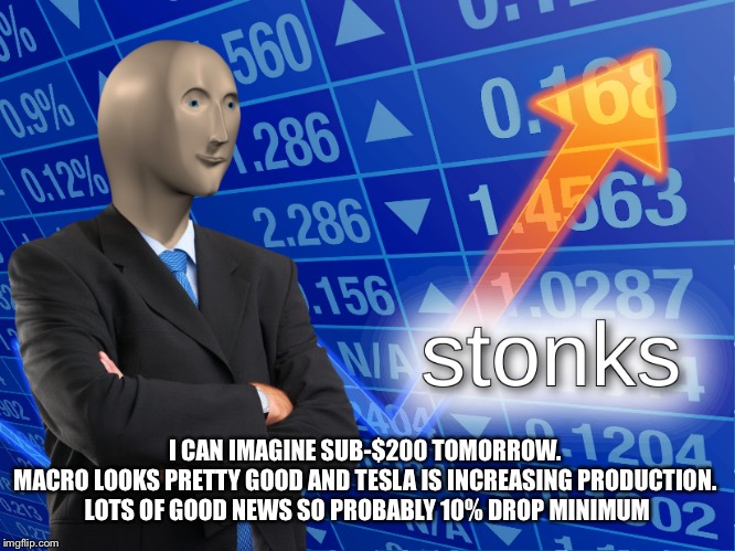 stonks | I CAN IMAGINE SUB-$200 TOMORROW. 

MACRO LOOKS PRETTY GOOD AND TESLA IS INCREASING PRODUCTION. 

LOTS OF GOOD NEWS SO PROBABLY 10% DROP MINIMUM | image tagged in stonks | made w/ Imgflip meme maker