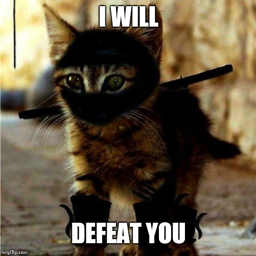 Ninja Cat | I WILL DEFEAT YOU | image tagged in ninja cat | made w/ Imgflip meme maker