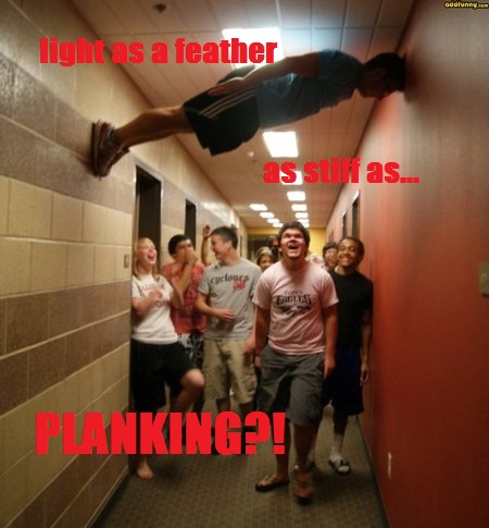 image tagged in memes,planking
