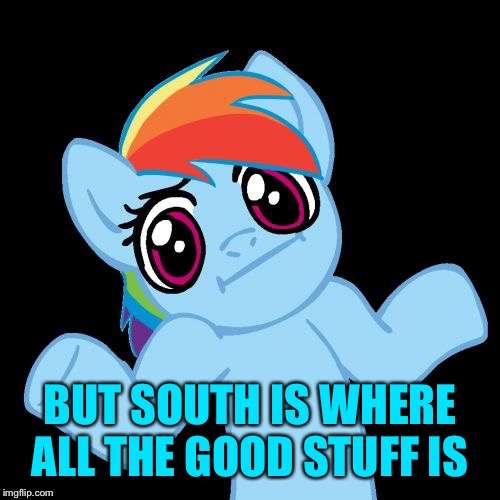 Pony Shrugs Meme | BUT SOUTH IS WHERE ALL THE GOOD STUFF IS | image tagged in memes,pony shrugs | made w/ Imgflip meme maker