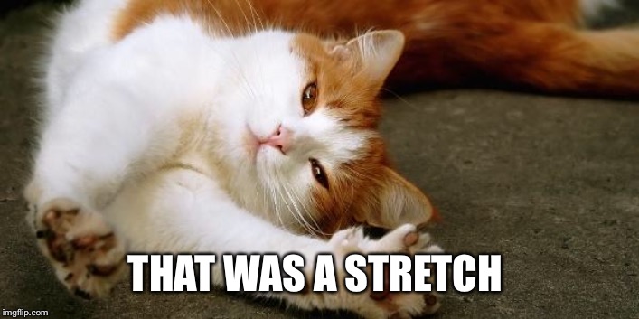 brown cat stretch | THAT WAS A STRETCH | image tagged in brown cat stretch,memes | made w/ Imgflip meme maker