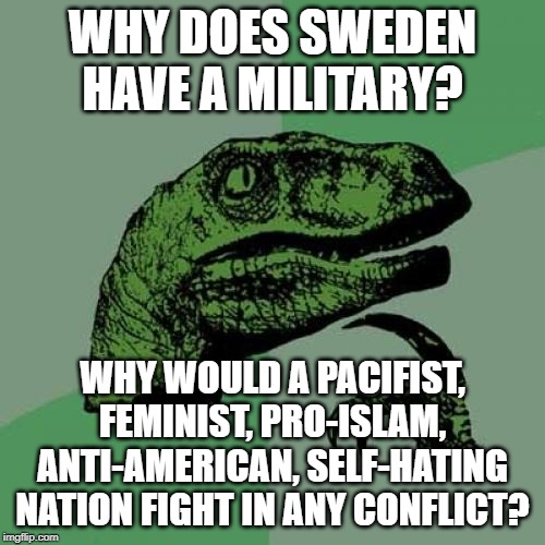 but they would never fight for anyone or anything |  WHY DOES SWEDEN HAVE A MILITARY? WHY WOULD A PACIFIST, FEMINIST, PRO-ISLAM, ANTI-AMERICAN, SELF-HATING NATION FIGHT IN ANY CONFLICT? | image tagged in memes,philosoraptor | made w/ Imgflip meme maker