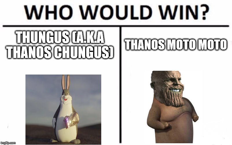 Who Would Win? Meme |  THUNGUS (A.K.A THANOS CHUNGUS); THANOS MOTO MOTO | image tagged in memes,who would win | made w/ Imgflip meme maker