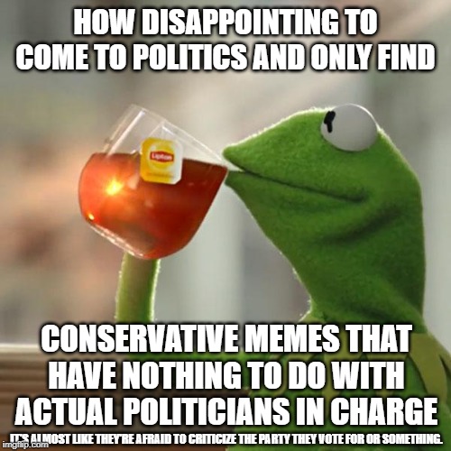 But That's None Of My Business Meme | HOW DISAPPOINTING TO COME TO POLITICS AND ONLY FIND; CONSERVATIVE MEMES THAT HAVE NOTHING TO DO WITH ACTUAL POLITICIANS IN CHARGE; IT'S ALMOST LIKE THEY'RE AFRAID TO CRITICIZE THE PARTY THEY VOTE FOR OR SOMETHING. | image tagged in memes,but thats none of my business,kermit the frog | made w/ Imgflip meme maker