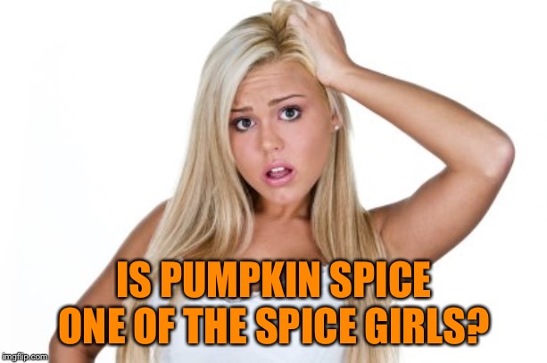 Dumb Blonde | IS PUMPKIN SPICE ONE OF THE SPICE GIRLS? | image tagged in dumb blonde | made w/ Imgflip meme maker