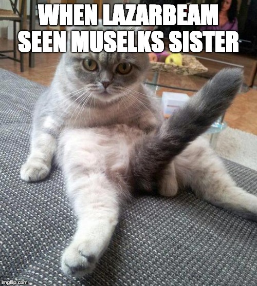 Sexy Cat Meme | WHEN LAZARBEAM SEEN MUSELKS SISTER | image tagged in memes,sexy cat | made w/ Imgflip meme maker