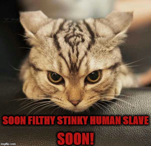 SOON | SOON! SOON FILTHY STINKY HUMAN SLAVE | image tagged in soon | made w/ Imgflip meme maker