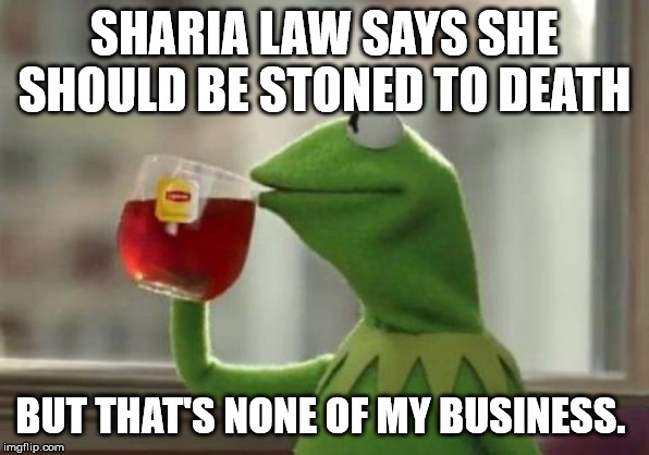 seems legit | SHARIA LAW SAYS SHE SHOULD BE STONED TO DEATH BUT THAT'S NONE OF MY BUSINESS. | image tagged in seems legit | made w/ Imgflip meme maker