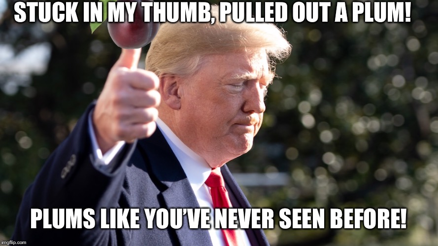 Little Jack Horner | STUCK IN MY THUMB, PULLED OUT A PLUM! PLUMS LIKE YOU’VE NEVER SEEN BEFORE! | image tagged in plumb plucker,donald trump | made w/ Imgflip meme maker