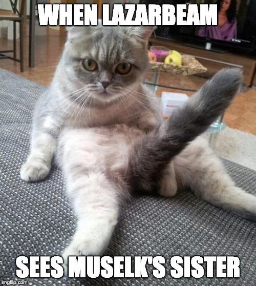 Sexy Cat Meme | WHEN LAZARBEAM; SEES MUSELK'S SISTER | image tagged in memes,sexy cat | made w/ Imgflip meme maker