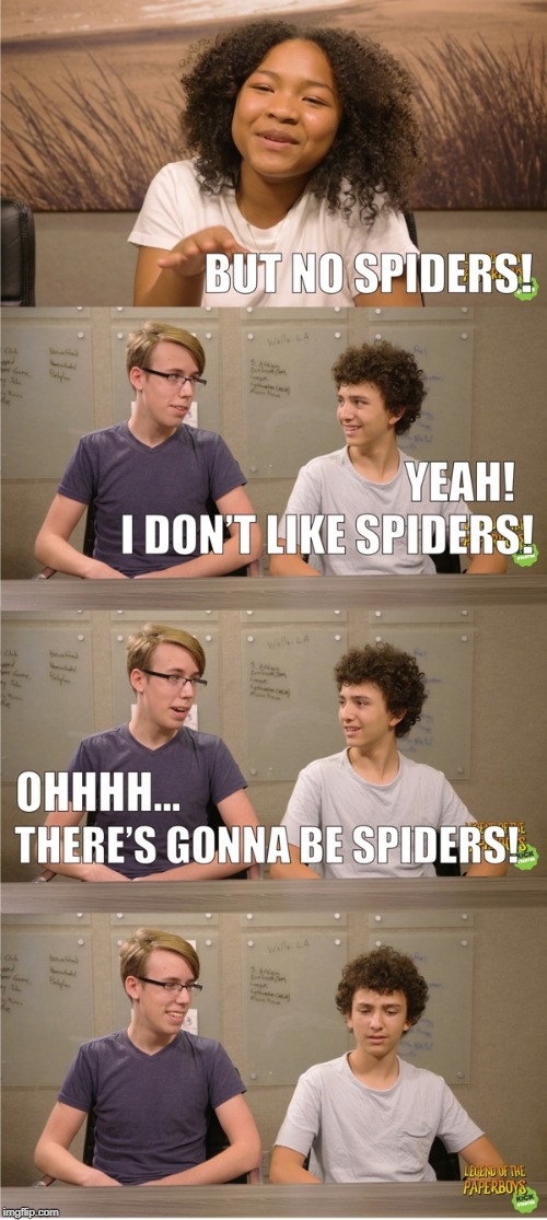 No Spiders | image tagged in no spiders | made w/ Imgflip meme maker