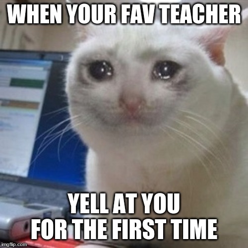 Crying cat | WHEN YOUR FAV TEACHER; YELL AT YOU FOR THE FIRST TIME | image tagged in crying cat | made w/ Imgflip meme maker