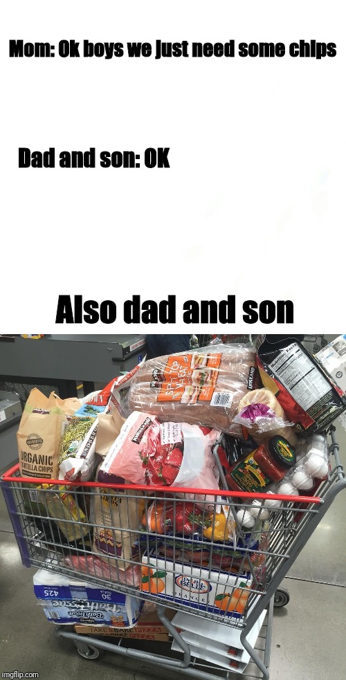 Mom: Ok boys we just need some chips; Dad and son: OK; Also dad and son | image tagged in shopping cart | made w/ Imgflip meme maker