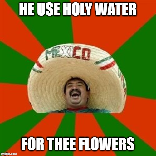 succesful mexican | HE USE HOLY WATER FOR THEE FLOWERS | image tagged in succesful mexican | made w/ Imgflip meme maker