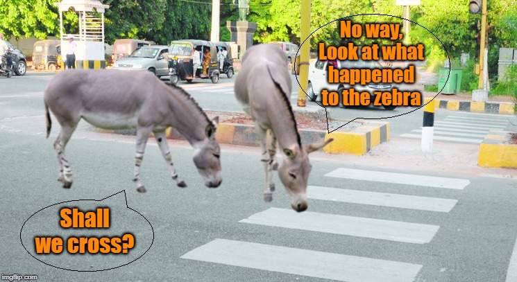 Two donkeys | No way, Look at what happened to the zebra; Shall we cross? | image tagged in funny | made w/ Imgflip meme maker