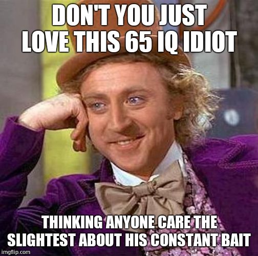 Creepy Condescending Wonka Meme | DON'T YOU JUST LOVE THIS 65 IQ IDIOT THINKING ANYONE CARE THE SLIGHTEST ABOUT HIS CONSTANT BAIT | image tagged in memes,creepy condescending wonka | made w/ Imgflip meme maker