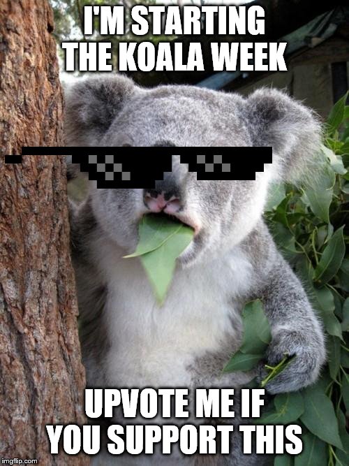 If I get 10 upvotes then this event will be started | I'M STARTING THE KOALA WEEK; UPVOTE ME IF YOU SUPPORT THIS | image tagged in memes,surprised koala | made w/ Imgflip meme maker