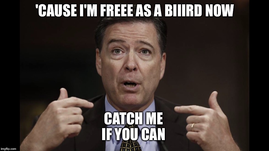 Comey Finger | 'CAUSE I'M FREEE AS A BIIIRD NOW; CATCH ME IF YOU CAN | image tagged in comey finger | made w/ Imgflip meme maker