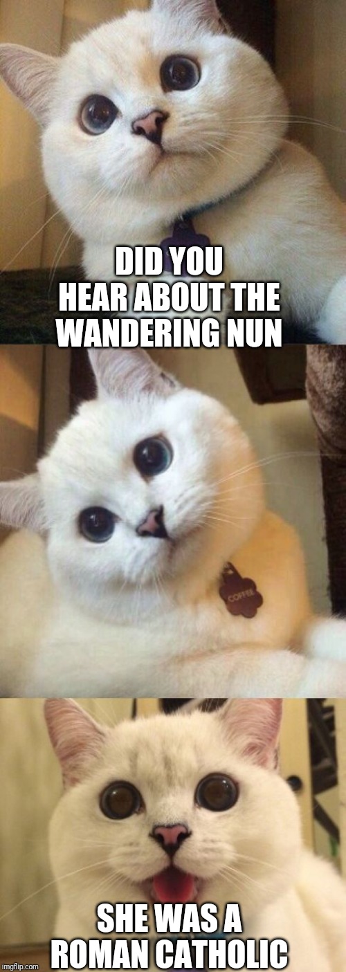 bad pun cat  | DID YOU HEAR ABOUT THE WANDERING NUN; SHE WAS A ROMAN CATHOLIC | image tagged in bad pun cat | made w/ Imgflip meme maker