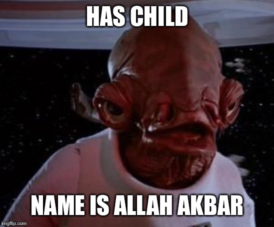 Admiral Ackbar | HAS CHILD; NAME IS ALLAH AKBAR | image tagged in admiral ackbar | made w/ Imgflip meme maker