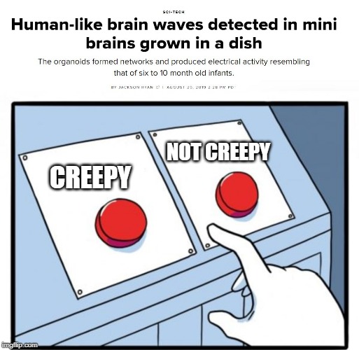 What do you think? | NOT CREEPY; CREEPY | image tagged in memes,two buttons,fun,science,question | made w/ Imgflip meme maker