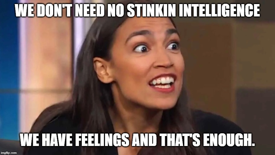 Crazy AOC | WE DON'T NEED NO STINKIN INTELLIGENCE WE HAVE FEELINGS AND THAT'S ENOUGH. | image tagged in crazy aoc | made w/ Imgflip meme maker