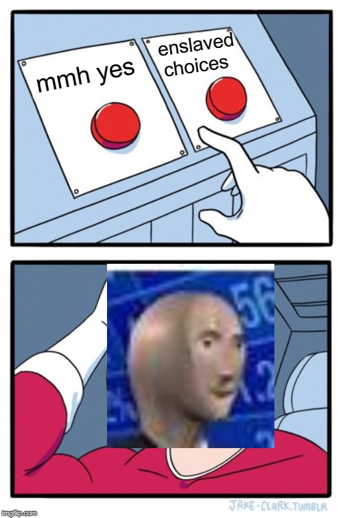 Two Buttons Meme | enslaved choices; mmh yes | image tagged in memes,two buttons | made w/ Imgflip meme maker