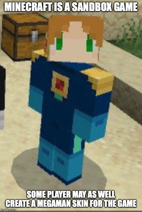Minecraft Megaman Battle Network Skin | MINECRAFT IS A SANDBOX GAME; SOME PLAYER MAY AS WELL CREATE A MEGAMAN SKIN FOR THE GAME | image tagged in megaman nt warrior,megaman,minecraft,gaming,memes | made w/ Imgflip meme maker