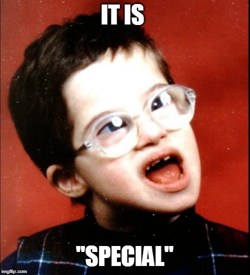 retard | IT IS "SPECIAL" | image tagged in retard | made w/ Imgflip meme maker