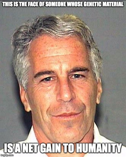 Jeffery Epstein Mug Shot | THIS IS THE FACE OF SOMEONE WHOSE GENETIC MATERIAL; IS A NET GAIN TO HUMANITY | image tagged in jeffrey epstein,memes | made w/ Imgflip meme maker