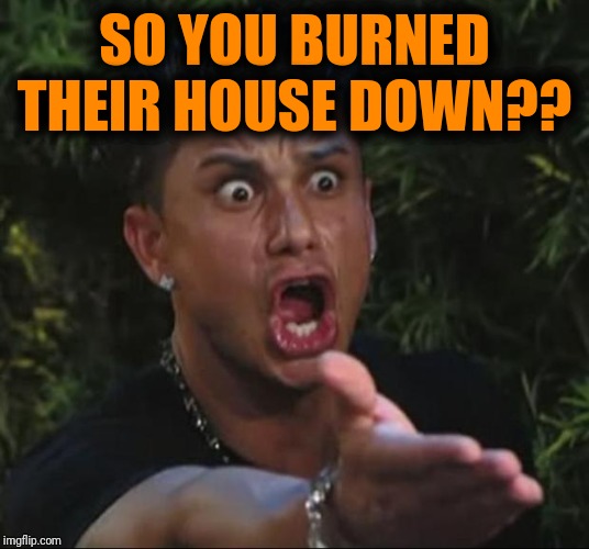 DJ Pauly D Meme | SO YOU BURNED THEIR HOUSE DOWN?? | image tagged in memes,dj pauly d | made w/ Imgflip meme maker