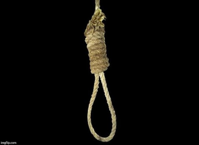 noose | image tagged in noose | made w/ Imgflip meme maker